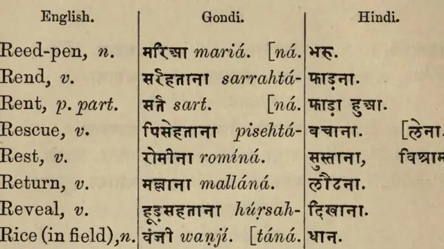 गोंडी भाषा