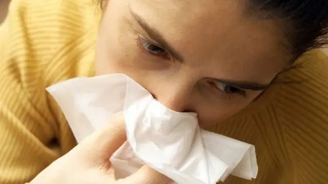 रुघाखोकी