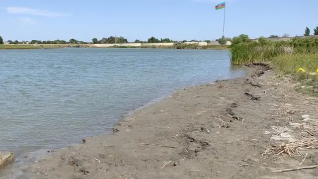 Neftçalada Kür çayı