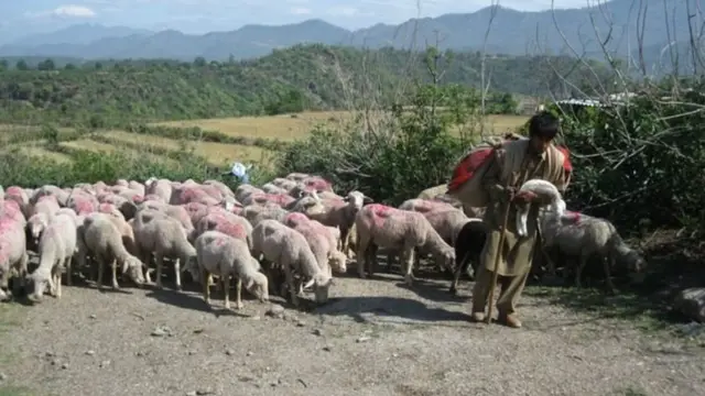 बकरवाल समाज