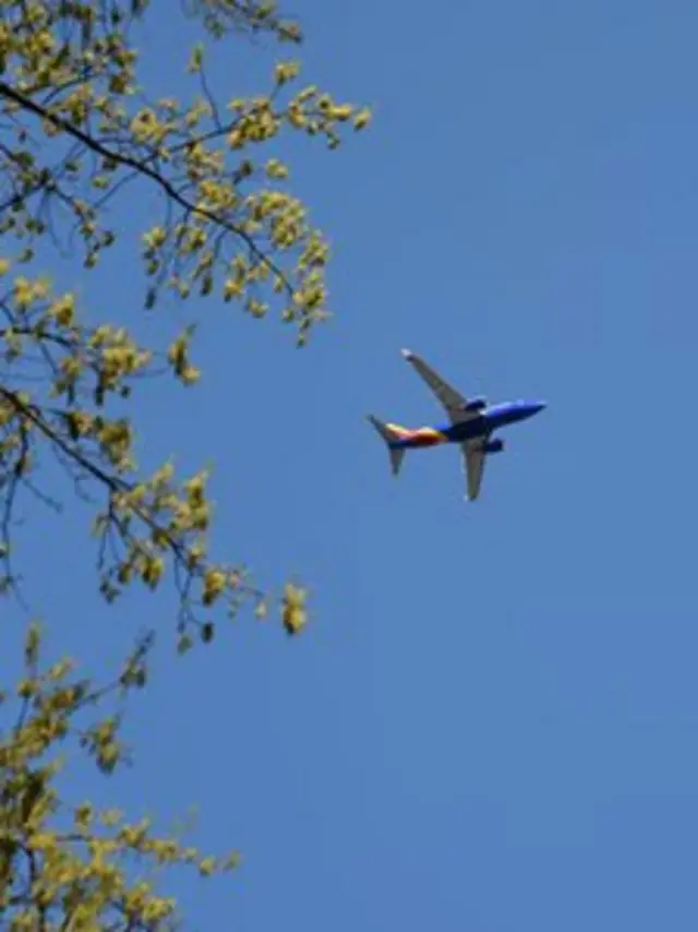 Việt Nam, hàng không, Bamboo Airlines