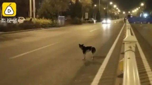 पीयर वीडियो