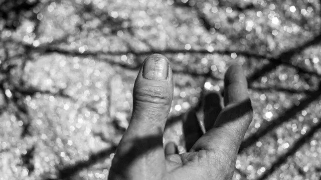 Foto: Boško Đorđević