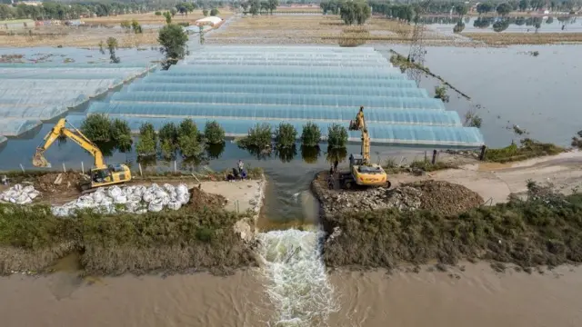 Экскаваторы строят вал