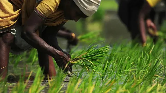 ''எம்எல்ஏ பதவியை ஏலம் விடுவார்களா?'' உள்ளாட்சித் தேர்தலில் விதிமீறல்களுக்கு காரணம் என்ன?