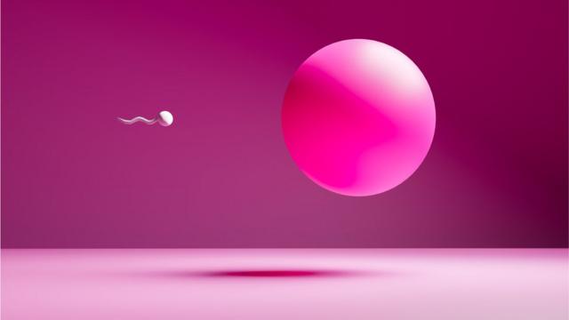 Ilustraçãodicas bet365 jogos de hojeespermatozoide a caminho do óvulo