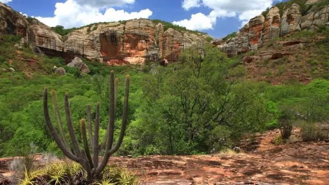 Caatinga preservada