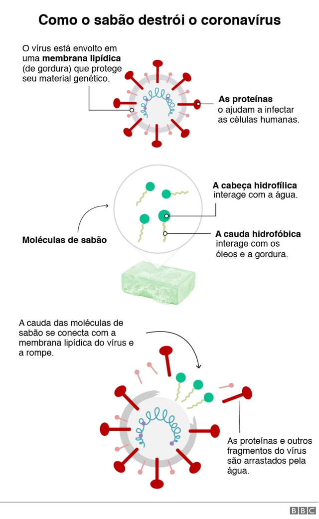 Como o sabão interage com o sars-cov-2