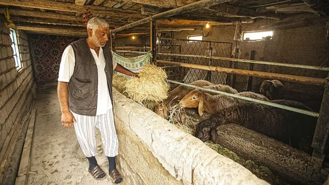 Наим-ака - один из самых уважаемых и авторитетных людей среди цыган-люли на севере Таджикистана