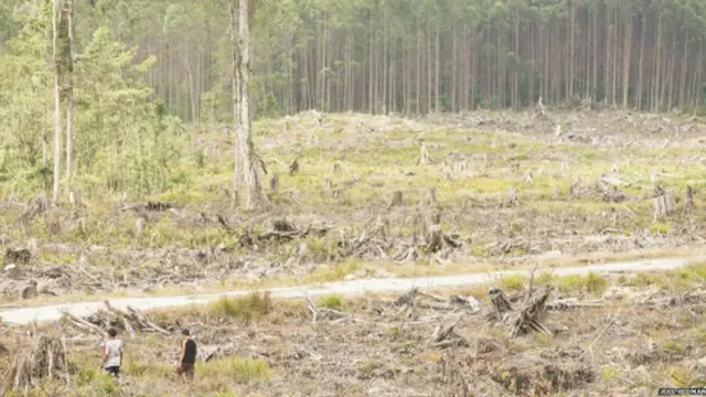 රැක ගැනීම නොව වැනසීම