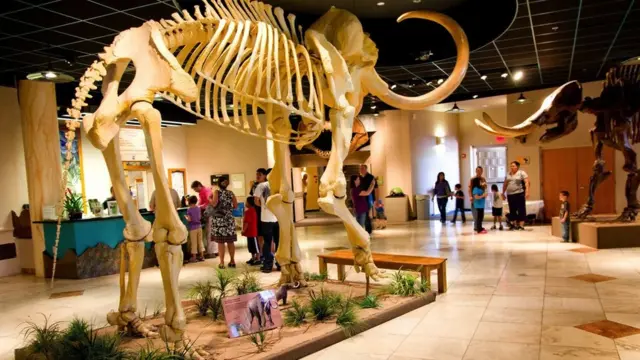 Prirodnjački muzej Arizone