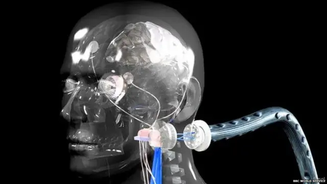 प्रातिनिधिक फोटो