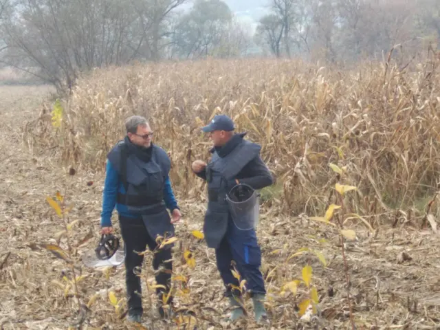 Vito Alfijeri Fontana