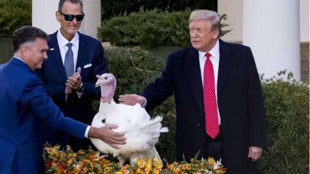 Trump da el perdón presidencial a un pavo