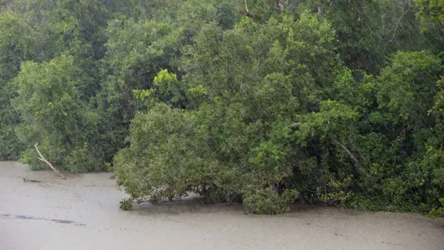 সুন্দরবন