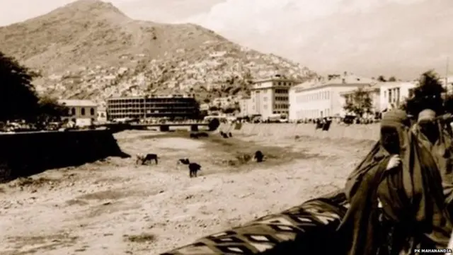 અફઘાનિસ્તાનમાં મહાનંદીયા