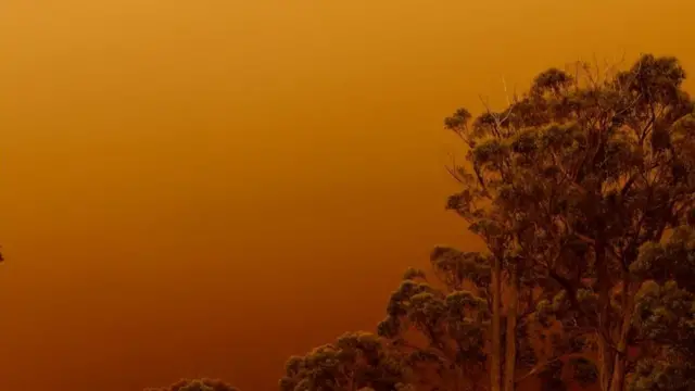 حرائق استراليا