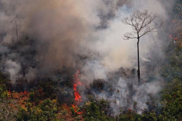 Incendios en la región amazónica