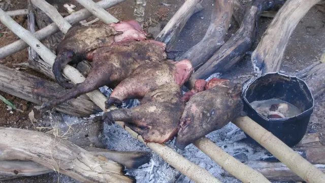 Asado tsimané