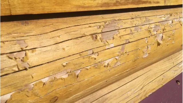 стіни у таборі "Вікторія"