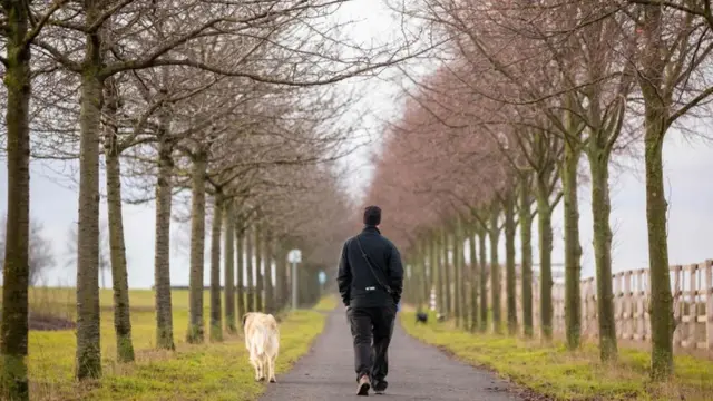 پیاده‌روی ذهن ما را بازتر می‌کند.