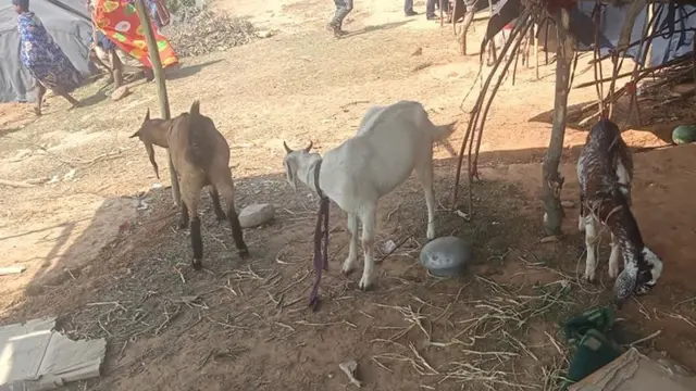 राउटे बस्ती