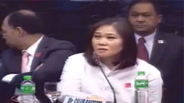 সেনেটের শুনানির একটি দৃশ্য