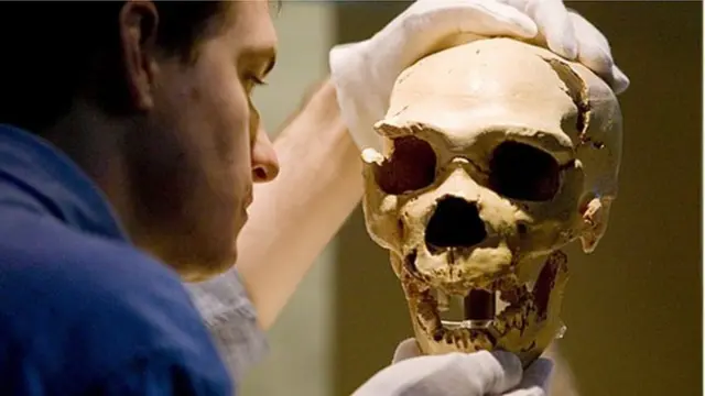 නියැන්ඩර්තාල් මානවයා