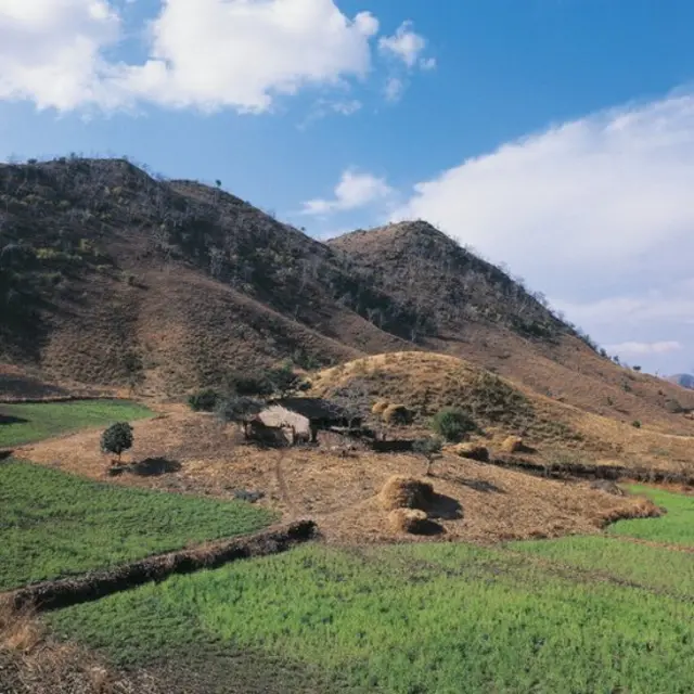 ஆரவல்லி