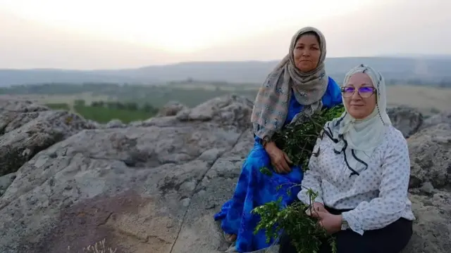 أم رانيا (ذات الثوب الأزرق) وأم زوجها تجمعان الريحان