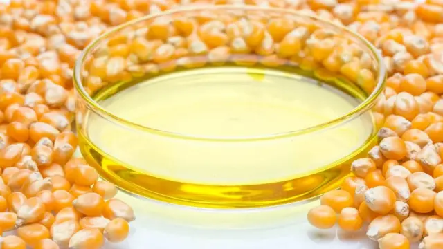 Dans certains aliments ultra-transformés, les sucres naturels ont été remplacés par du sirop de maïs à haute teneur en fructose, qui est très calorifique