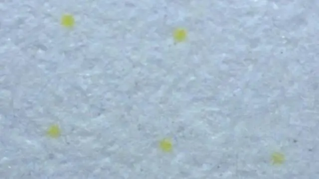 These yellow dots, magnified 60 times, were found on a Xerox printout