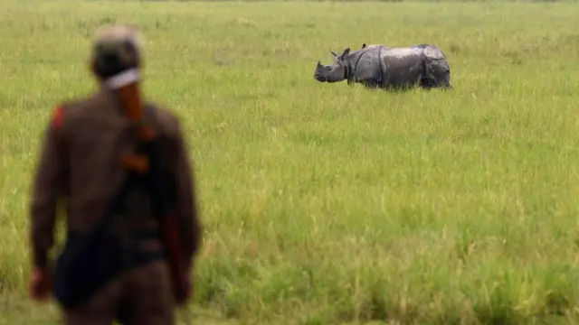 આસામ પૂર