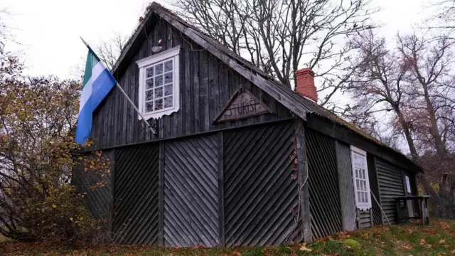 Bendera Livonia menampilkan gambaran abstrak hutan, pasir, dan air di kawasan itu.