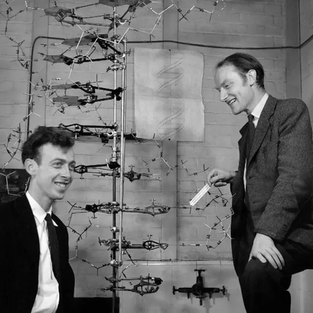 James Watson e Francis Crick com seu famoso modelo da estrutura do DNA