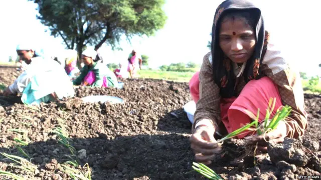 शेती