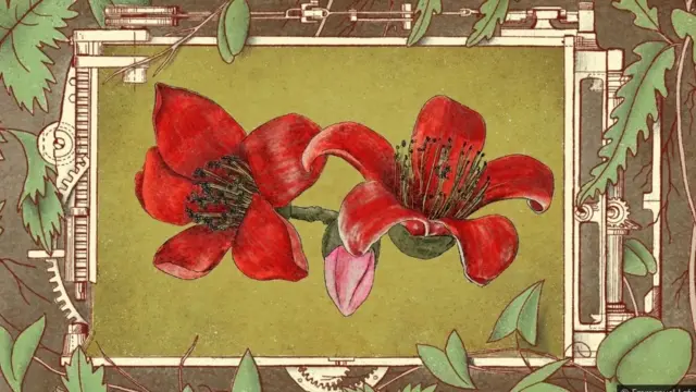 Цвет бомбокс - за неке је ово био непроцењив комад лепоте током тешке године