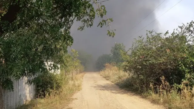 Пожар в Ростовской области, Каменский район