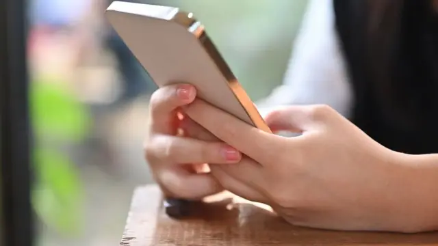 வீட்டிலிருந்து வேலை செய்யும் போது, பாலியல் அரட்டை போன்ற ஆபாசதளங்களுக்கு அடிமையான வாடிக்கையாளர்களை தான் பார்ப்பதாக கூறுகிறார் போதை ஒழிப்பு சிகிச்சையாளர் பவுலா ஹால்.