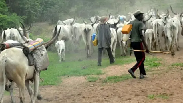 Miyetti Allah ń fẹ́ kí ìjọba àpapọ̀ dẹ́kun àwọn gómìnà tó ń ṣòfin lòdì sí ẹran dídà láàrín ìlú