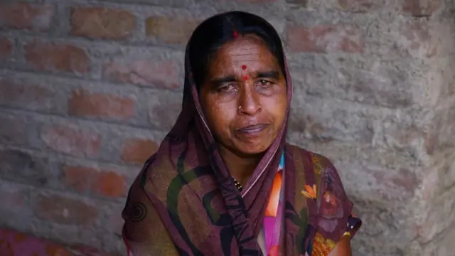 बर्ड फ्ल्यू, परभणी, कोंबड्या, पक्षी. पोल्ट्री