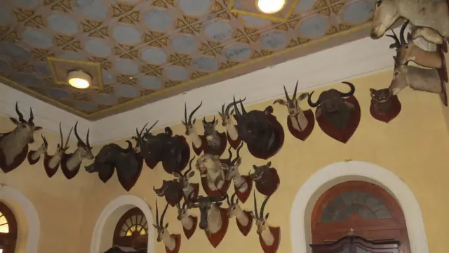 महल में दीवार पर टंगे शिकार किए गए जानवर