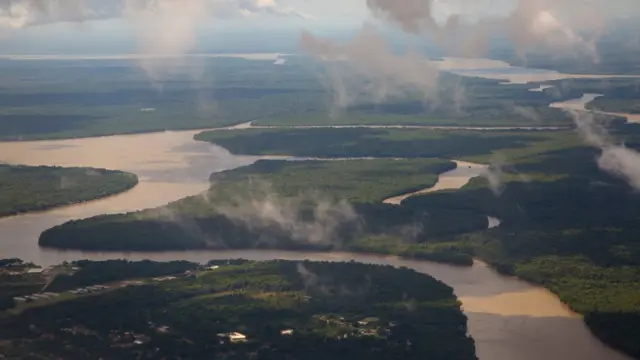 Floresta amazônica no Pará