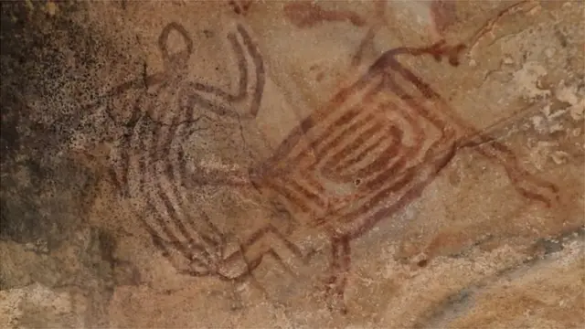 बक्सवाहाचं जंगल