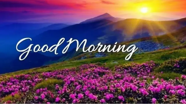 এই জাতীয় অসংখ্য সুপ্রভাতী বার্তা আসছে সকাল হতে না-হতেই