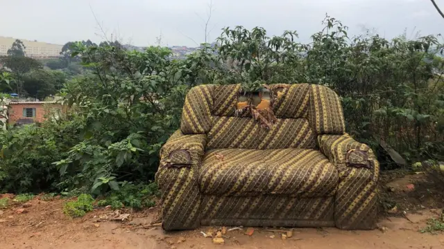 sofá abandonado na Terrabet futebol virtualDeus