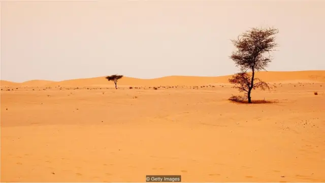 पगा में रेगिस्तान