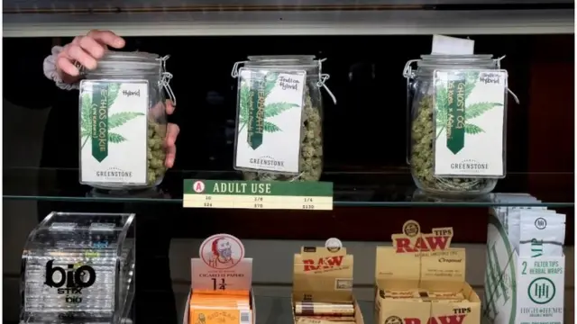 गांजे के फूल