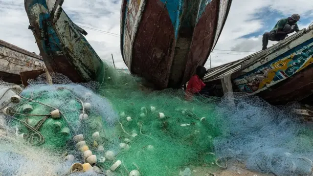 La demande de fruits de mer a doublé depuis les années 1960, mais elle a épuisé les stocks de poissons dans de nombreuses eaux côtières