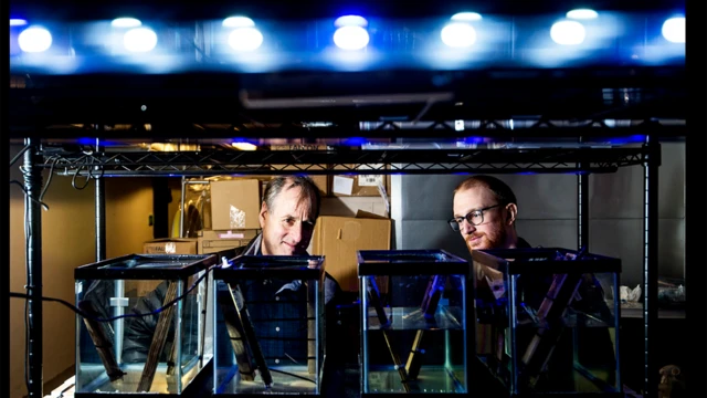 Dan Distel y Reuben Shipway en el Centro de Ciencias Marinas de la Universidad Northwestern